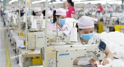 Công ty Panko Vina ngưng hoạt động: Chiều  nay, đoàn liên ngành làm việc với doanh nghiệp