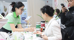 Đi làm Tết Dương lịch, lương cao nhất lên tới 490%