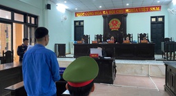 Chiêu giấu ma túy trong hộp “mật ong nghệ đen”: Một bị cáo lãnh án 16 năm tù