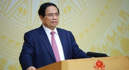 Thủ tướng chỉ đạo xử lý dứt điểm vụ gian lận 32 lô cá cờ kiếm