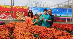 Nhiều tuyến du lịch trải nghiệm phục vụ du khách đến Festival Hoa - Kiểng Sa Đéc