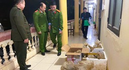 Cứu hộ 12 con vật quý hiếm được công an phát hiện trên ô tô 7 chỗ