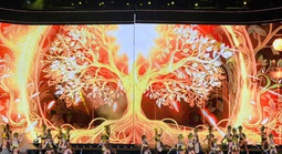 Ấn tượng với Lễ hội Trà quốc tế 2025