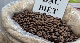 Giá cà phê hôm nay 6-12: Thêm tuần buồn