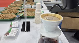 Giá cà phê hôm nay 7-12: Người Việt uống cà phê còn ít