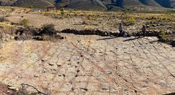 Gần 18.000 dấu chân quái vật "xới nát" công viên quốc gia