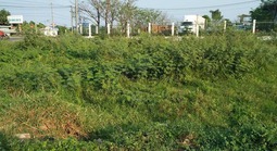 Đề xuất giải quyết tình trạng "người dân phải nộp số tiền lớn khi chuyển đất vườn sang đất ở"