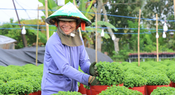 Tôn vinh nghề trồng hoa - kiểng