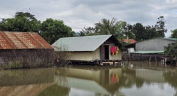 Gia Lai: Nước lũ hàng chục ngày chưa rút, người dân khốn khổ