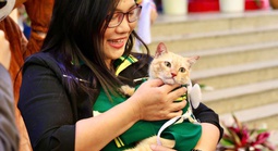 Thảo Cầm Viên: Áo mèo Mika được đấu giá 10 triệu, fan 3 thế hệ “chốt đơn”