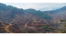 Diễn biến mới vụ phá hơn 97 ha rừng ở Gia Lai