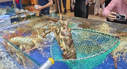 Xuất khẩu tôm lập kỷ lục