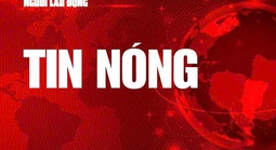 Bé gái 4 tuổi bất ngờ bị chó lao vào tấn công khắp vùng mặt khi đang chơi ở quảng trường