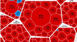 Khối ngoại bán ròng mạnh, cổ phiếu VIC hết "gánh" nổi chỉ số