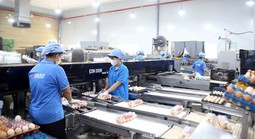 Tạo xung lực phát triển kinh tế tư nhân