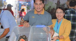 Nâng cao giá trị cua Cà Mau