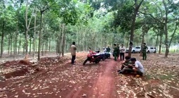 Bàng hoàng phát hiện thi thể nam giới treo lơ lửng trên cây cao su
