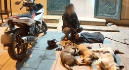 Tóm gọn người đàn ông trộm chó liên tỉnh