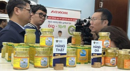 Bát nháo thị trường yến sào