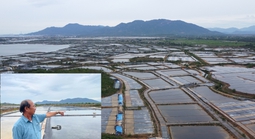 Thu hồi đất giá thấp để doanh nghiệp làm khu công nghiệp, diêm dân khiếu nại