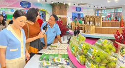 Đặc sản Ninh Thuận “đổ bộ” TP HCM: Từ rong nho, yến sào đến nho táo VietGAP
