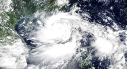 Năm 2025 có bao nhiêu cơn bão đổ bộ vào Việt Nam?