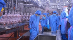 Sở Nông nghiệp và Môi trường tỉnh Bình Phước kiểm tra  CPV Food Bình Phước