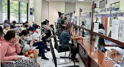 Hồ sơ đất đai tăng đột biến