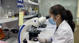 2 người tái mắc sốt rét sau 12 năm