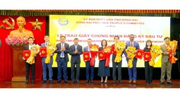 Thu hút FDI tăng trưởng ngoạn mục