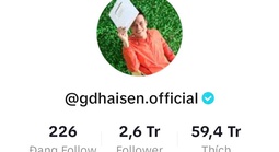 Chủ kênh TikTok "Gia đình Hải Sen" có 2,6 triệu người theo dõi bị bắt