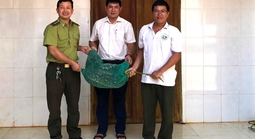 Trăn gấm quý hiếm nặng 21kg bò vào nhà dân trong đêm