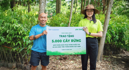 Hành trình phủ xanh 5 cánh rừng của doanh nghiệp trẻ
