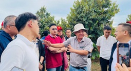 HAGL tuyển gấp 100 kỹ thuật viên sầu riêng với nhiều đãi ngộ hấp dẫn