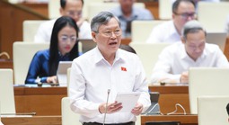 Đại biểu Quốc hội: Hàng giả ngày càng tinh vi, có sự móc ngoặc của cán bộ công quyền