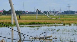 Cột điện đường dây 22 kV gãy đổ như "ngả rạ" sau mưa dông ở Thanh Hóa