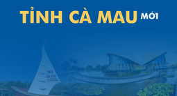 Toàn cảnh xã, phường, diện tích của tỉnh Cà Mau mới