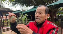Cứ ngỡ thuốc từ động vật hoang dã là "thần dược"
