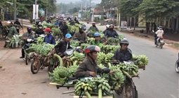 Lên vùng Lìa với dân "2 sọt"