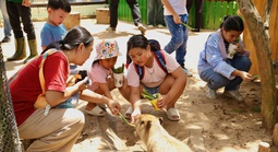 Lạc vào thế giới của Capybara, Meerkat và những “tân binh” siêu dễ thương tại Thảo Cầm Viên