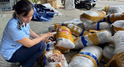 Phát hiện 700 kg mực khô vô chủ trên vỉa hè Đà Nẵng