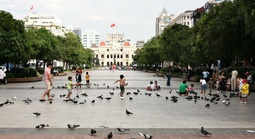 Những ngày đầu tháng 7, thời tiết TP HCM diễn biến ra sao?