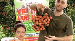 Vải thiều dội chợ rớt giá, đưa lên livestream lại "cháy hàng"