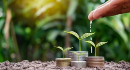 Cung hoàng đạo nào “bội thu” tiền bạc trong tuần giữa tháng 7?