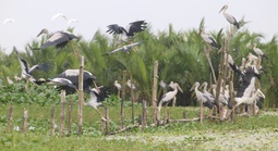 Yên ả sông Đầm