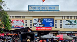 Vụ tiểu thương chợ Di Linh tố bị hành hung: Công an vào cuộc