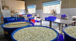 Phát hiện gần 7 tấn chân gà ngâm chất tẩy trắng