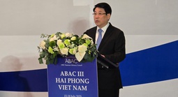 Việt Nam luôn coi trọng hợp tác với APEC