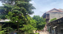 Sâu rễ, bền gốc
