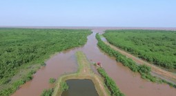 Trồng cây gây rừng lấn biển